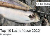 Top 10 Lachsflüsse 2020 Norwegen  10.10.2020