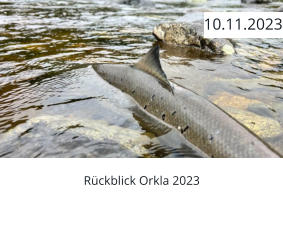 Rückblick Orkla 2023  10.11.2023