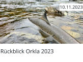 Rückblick Orkla 2023  10.11.2023