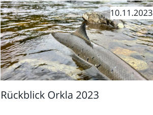 Rückblick Orkla 2023  10.11.2023