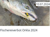 Fischereiverbot Orkla 2024  10.07.2024