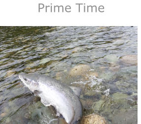 Prime Time