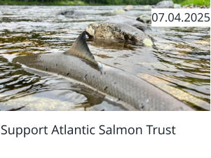 Support Atlantic Salmon Trust  07.04.2025